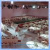 Event Venue Carpeting Hire Riyadh Saudi Arabia