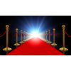 Red Carpet Velvet Rope VIP Package